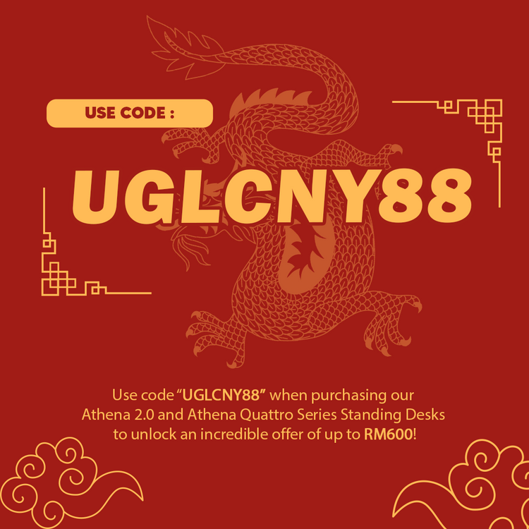 CHINESE NEW YEAR PROMOTION
